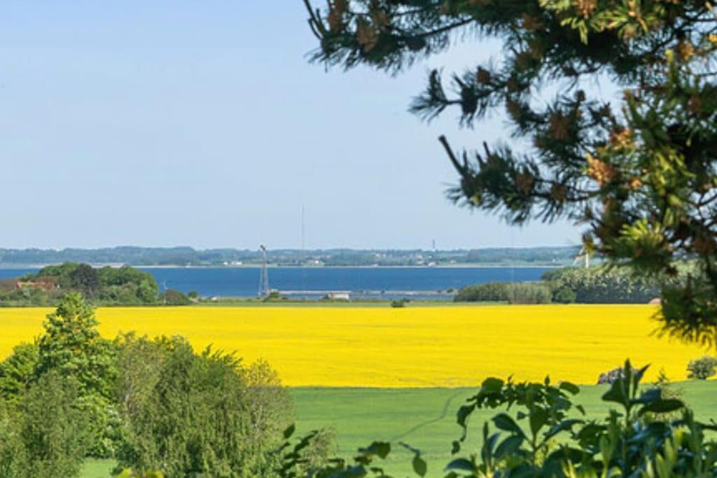 Apartment With Stunning View Roskilde Esterno foto